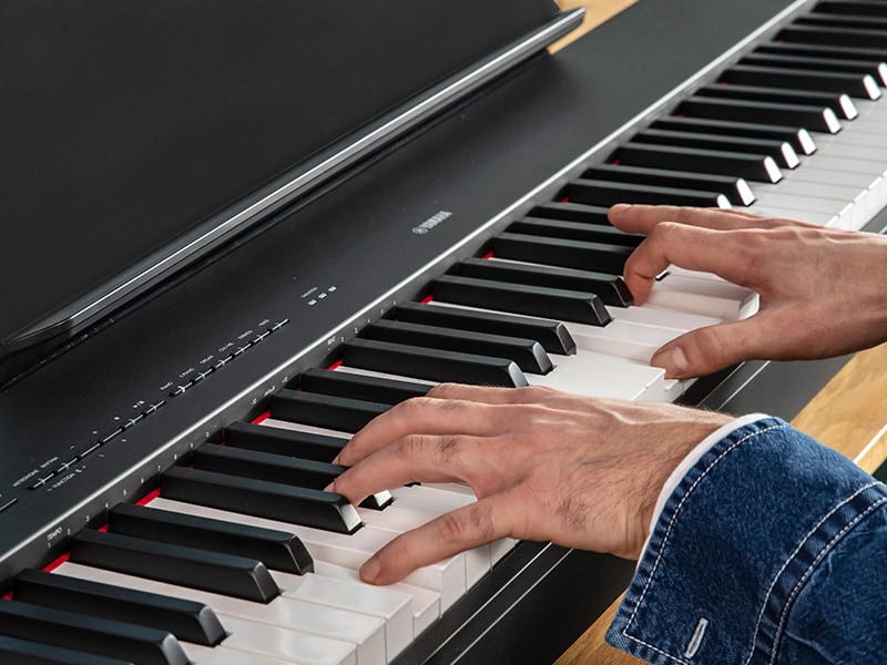 Mãos de uma pessoa tocando o piano P-225