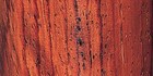 Rosewood