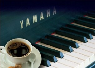 Auditorio Yamaha