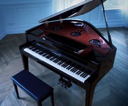 Tocar piano – libertar o pianista de todas as limitações. E depois, a alegria de transformar a arte de tocar em algo novo...