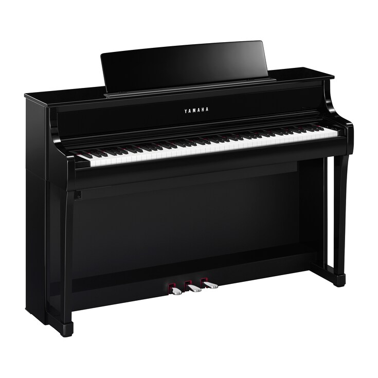 CLP-875_Preto Polido (Polished Ebony)
