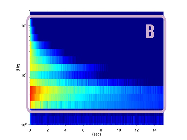 Características acústicas ao utilizar apenas a secção central das anilhas SECW. O volume e o sustain aumentam em toda a gama de frequências