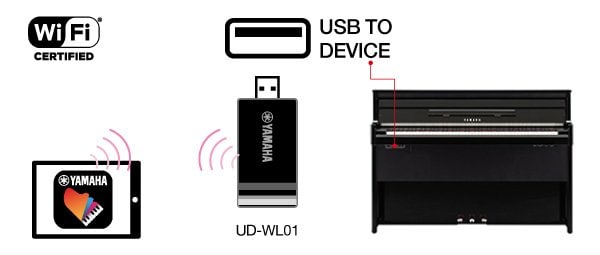 B. Ligação WIFI sem fios. * Esta ligação pode varia conforme o país. 