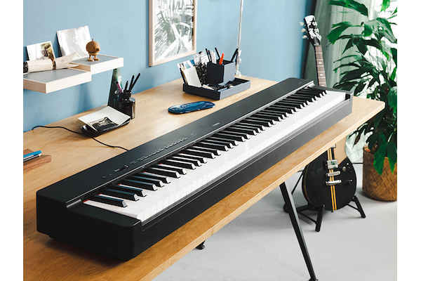 The P-225B on a desk