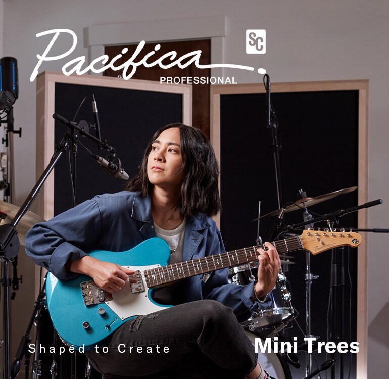 Pacifica SC Professional (PACP11S BMB) segurada por MINI TREES