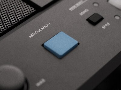 Imagem de destaque do PSR-E483: botão ARTICULATION