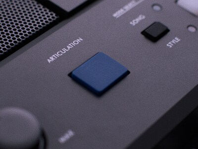 Imagem de destaque do PSR-E583: botão ARTICULATION