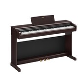 YDP-146_Pau-Santo Escuro (Dark Rosewood)_ângulo