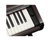 YDP-146_Pau-Santo Escuro (Dark Rosewood)_teclado_direita