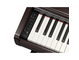 YDP-146_Pau-Santo Escuro (Dark Rosewood)_teclado_esquerda