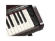YDP-166_Pau-Santo Escuro (Dark Rosewood)_teclado_direita