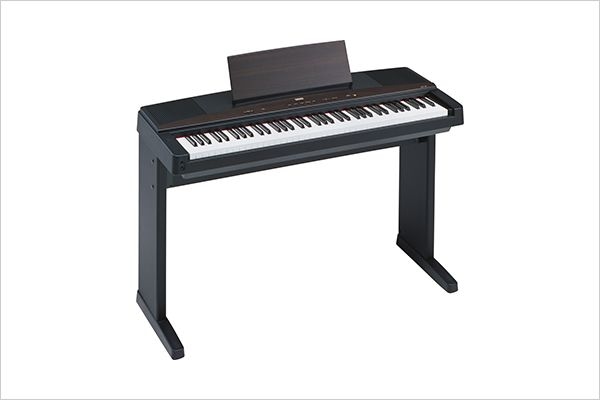YPP-45