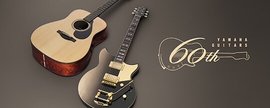 FG Series - Descrição - Guitarras Acústicas - Produtos - Guitarras