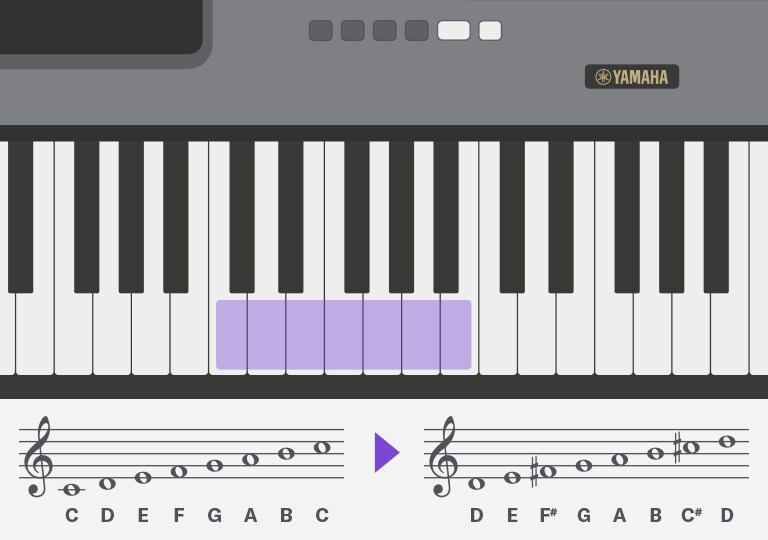 Transpose function image
